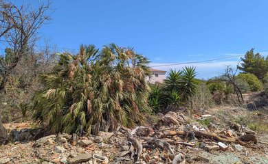 Building plot for sale in Denia / Spain