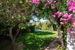 Thumbnail 8 of Villa for sale in Marbella / Spain #50916