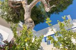 Thumbnail 34 of Villa for sale in Javea / Spain #48903