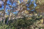 Thumbnail 7 of Villa for sale in Moraira / Spain #59255
