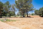 Thumbnail 8 of Villa for sale in Javea / Spain #59972