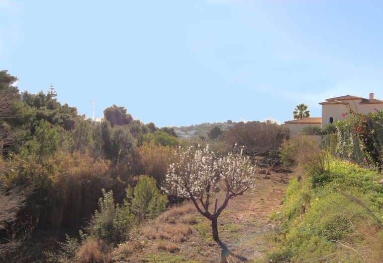 Detail image of Building plot for sale in Benissa / Spain #60178