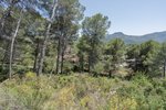 Thumbnail 28 of Villa for sale in Alcalali / Spain #60520