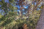 Thumbnail 5 of Villa for sale in Moraira / Spain #59255