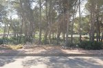 Thumbnail 3 of Building plot for sale in Javea / Spain #51158