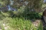 Thumbnail 3 of Building plot for sale in Javea / Spain #60232