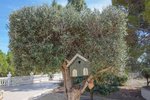 Thumbnail 53 of Villa for sale in La Nucia / Spain #59283