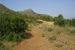 Thumbnail 3 of Building plot for sale in Pedreguer / Spain #47049