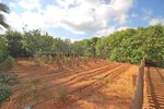 Thumbnail 33 of Villa for sale in Javea / Spain #50633