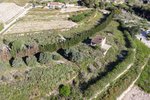 Thumbnail 14 of Villa for sale in Teulada / Spain #59965