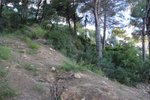 Thumbnail 2 of Building plot for sale in Javea / Spain #59010
