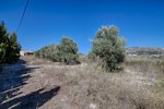 Thumbnail 9 of Finca for sale in Moraira / Spain #61170