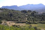 Thumbnail 13 of Building plot for sale in Benissa / Spain #42310