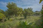 Thumbnail 23 of Villa for sale in Benitachell / Spain #59117