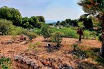 Thumbnail 5 of Building plot for sale in Moraira / Spain #59498