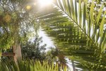 Thumbnail 121 of Villa for sale in Javea / Spain #60034