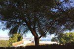 Thumbnail 6 of Building plot for sale in Javea / Spain #42306