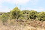 Thumbnail 2 of Building plot for sale in Moraira / Spain #58918