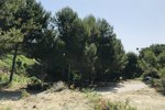 Thumbnail 6 of Building plot for sale in Javea / Spain #44080