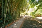Thumbnail 34 of Finca for sale in Javea / Spain #62257