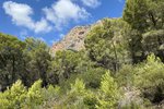 Thumbnail 1 of Building plot for sale in Javea / Spain #51036