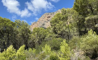 Building plot for sale in Javea / Spain