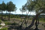 Thumbnail 8 of Building plot for sale in Moraira / Spain #58944