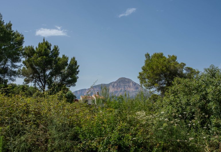 Detail image of Villa for sale in Javea / Spain #60239