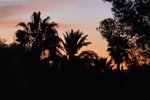 Thumbnail 60 of Villa for sale in Javea / Spain #61324