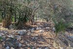 Thumbnail 9 of Building plot for sale in Denia / Spain #59338