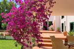 Thumbnail 18 of Villa for sale in Denia / Spain #50944
