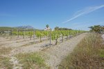Thumbnail 11 of Villa for sale in Benitachell / Spain #61288