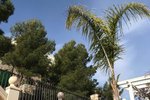 Thumbnail 24 of Villa for sale in Pedreguer / Spain #42344