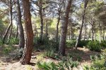 Thumbnail 7 of Building plot for sale in Javea / Spain #42292