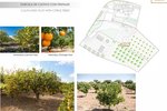 Thumbnail 60 of Villa for sale in Altea / Spain #59945