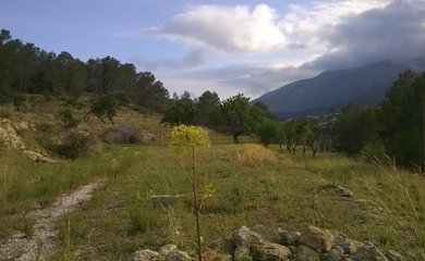 Building plot for sale in Benissa / Spain