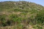 Thumbnail 4 of Building plot for sale in Pedreguer / Spain #47049